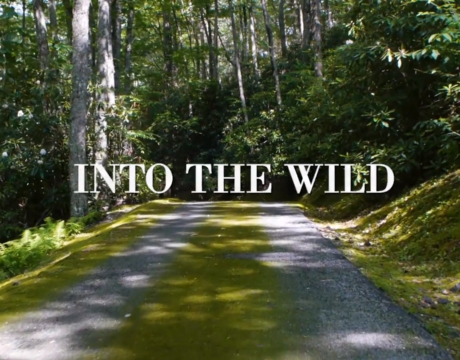 Into The Wild, Prêt-à-porter AH 2018